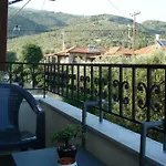 Orange Garden