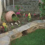 Orange Garden *
