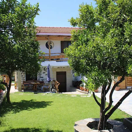Orange Garden