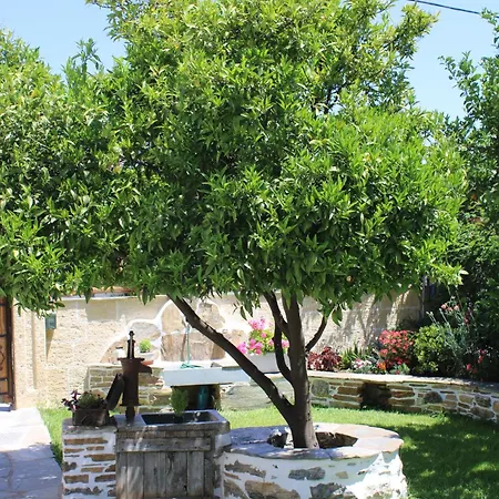 Orange Garden * Kala Nera
