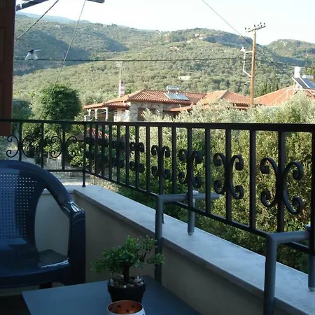 Orange Garden